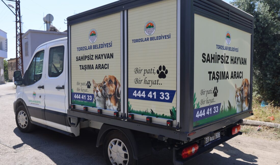 Toroslar Belediyesi, sokak hayvanlarının