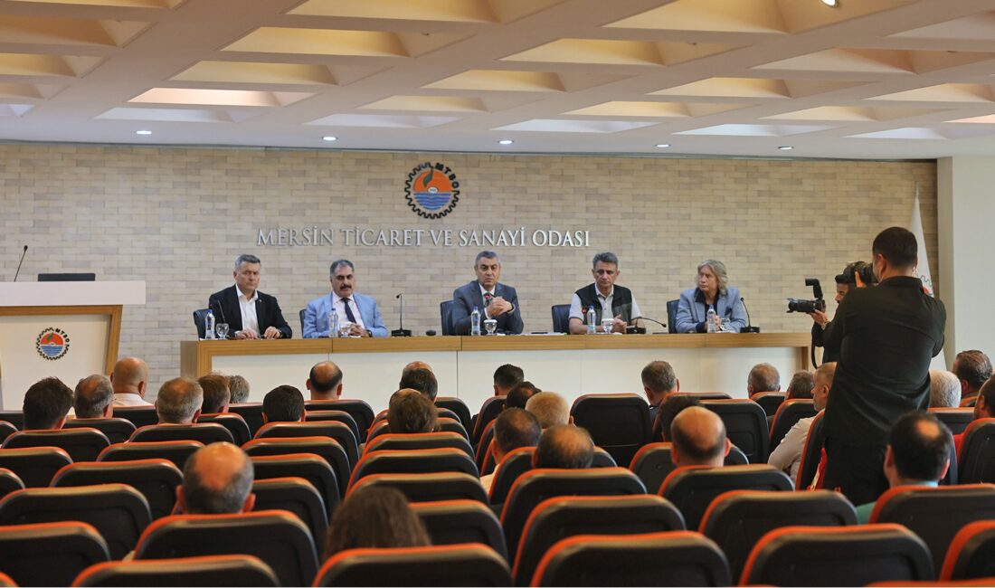 Mersin Valiliği koordinesi, Mersin