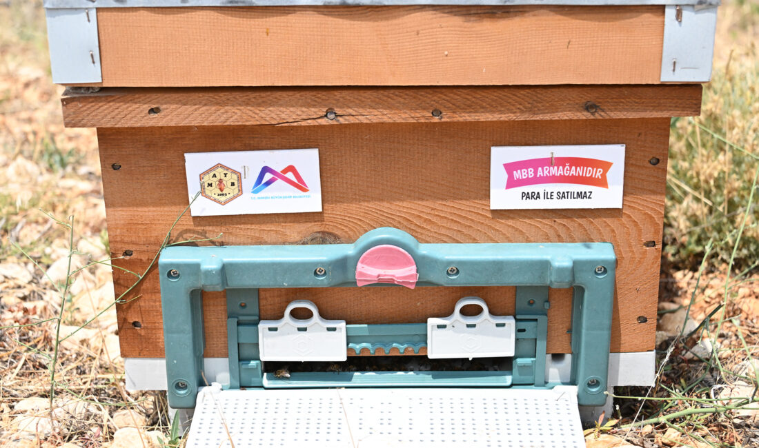 Mersin’deki her bölgenin ve