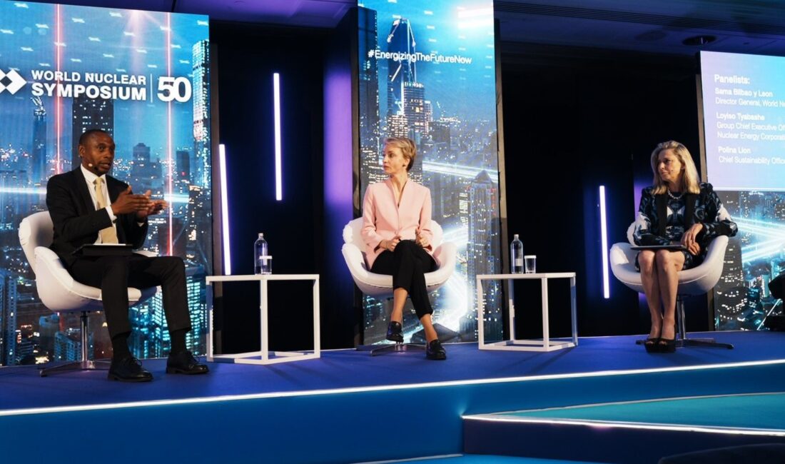 Rusya Devlet Nükleer Enerji