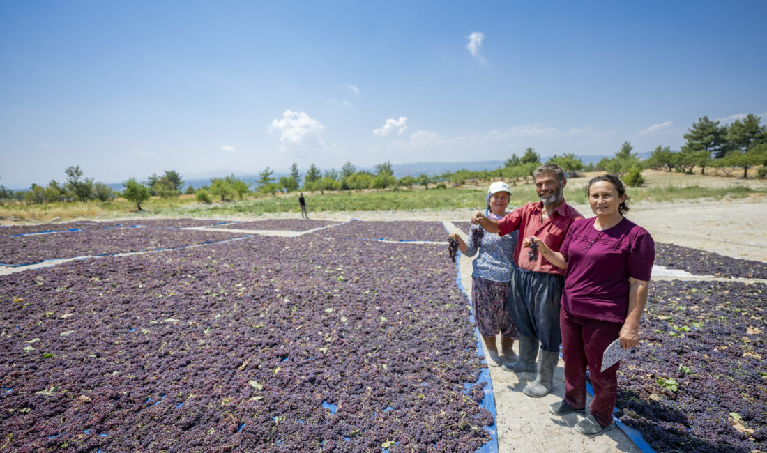 Tarımı destekleyen projelerle Mersin’i