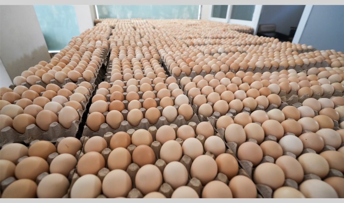 Tarsus Belediyesi Zabıta ekipleri,