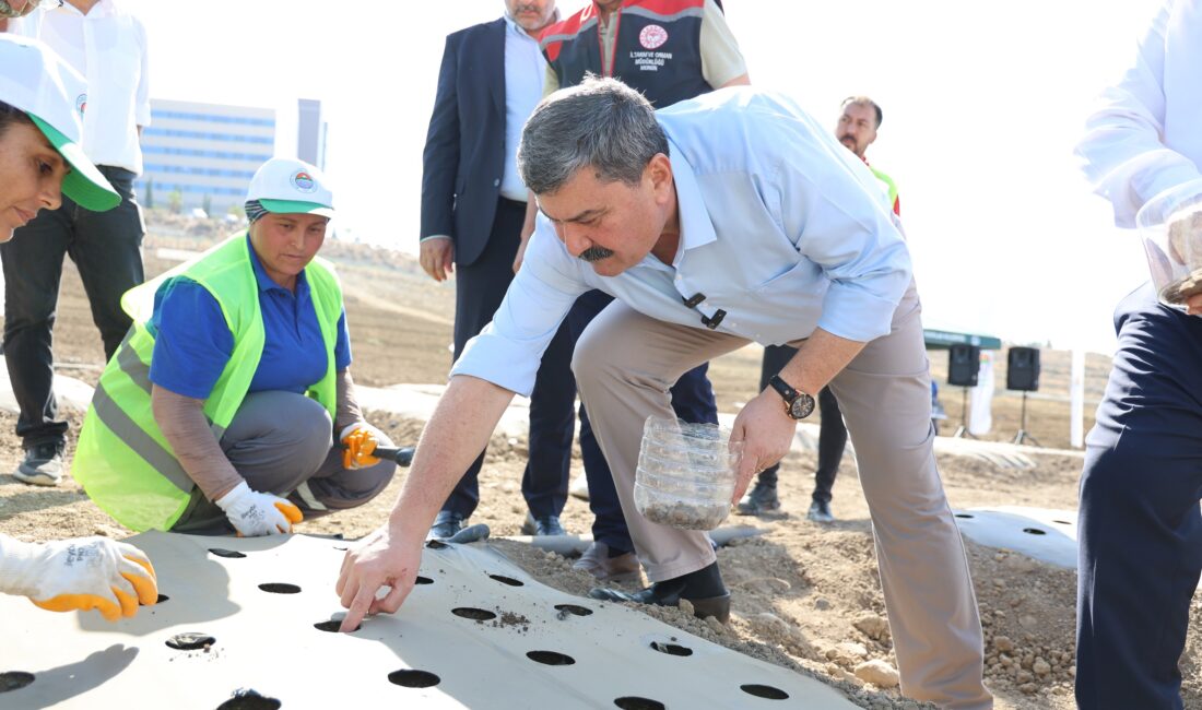 Toroslar Belediyesi, alternatif ve
