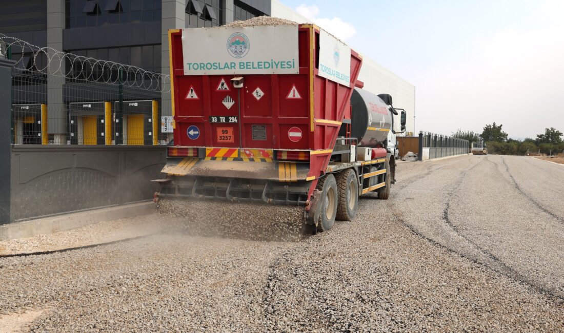 Toroslar Belediyesi, ilçe genelinde