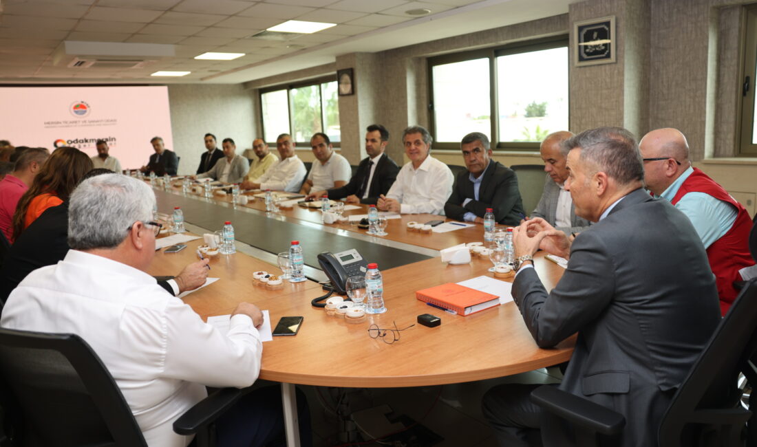 Odak Mersin Projesi kapsamında
