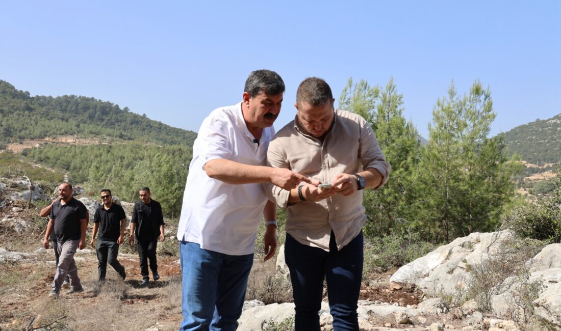 Toroslar Belediyesi, sokak hayvanları