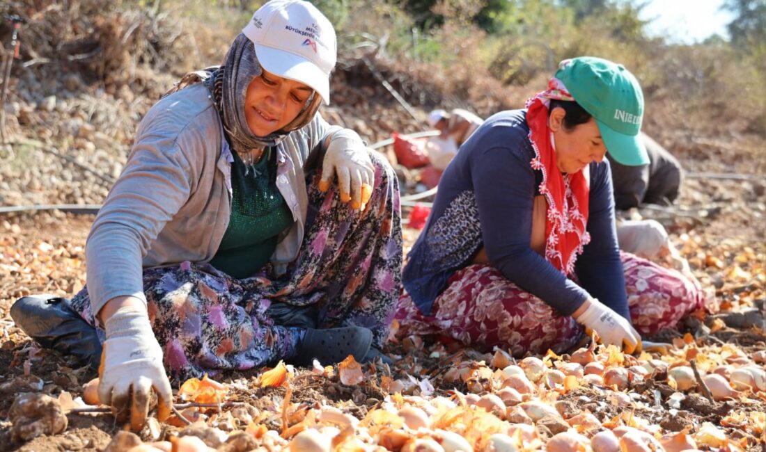 Toroslar Belediye Başkanı Abdurrahman