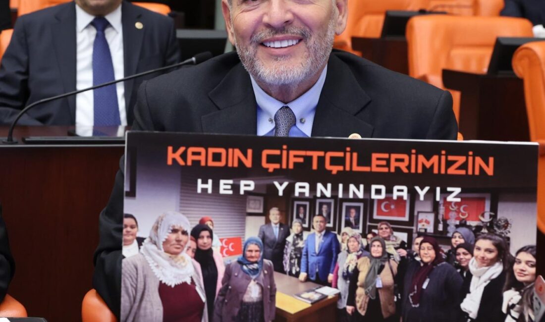 Milliyetçi Hareket Partisi Mersin