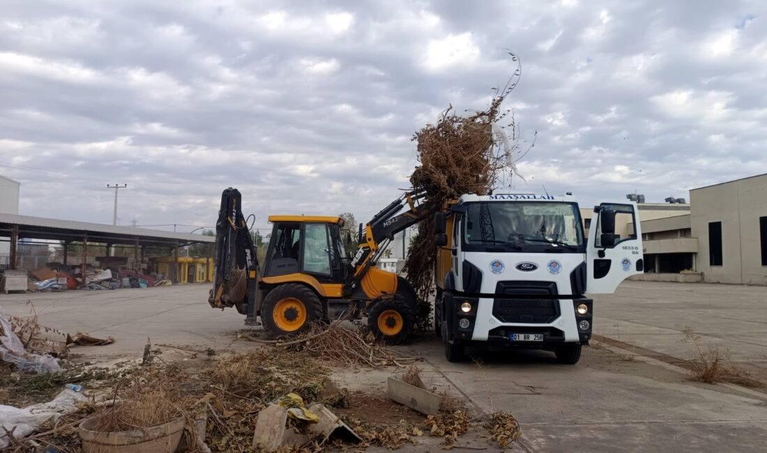 AKDENİZ’DE AĞAÇLARA SONBAHAR BAKIMI