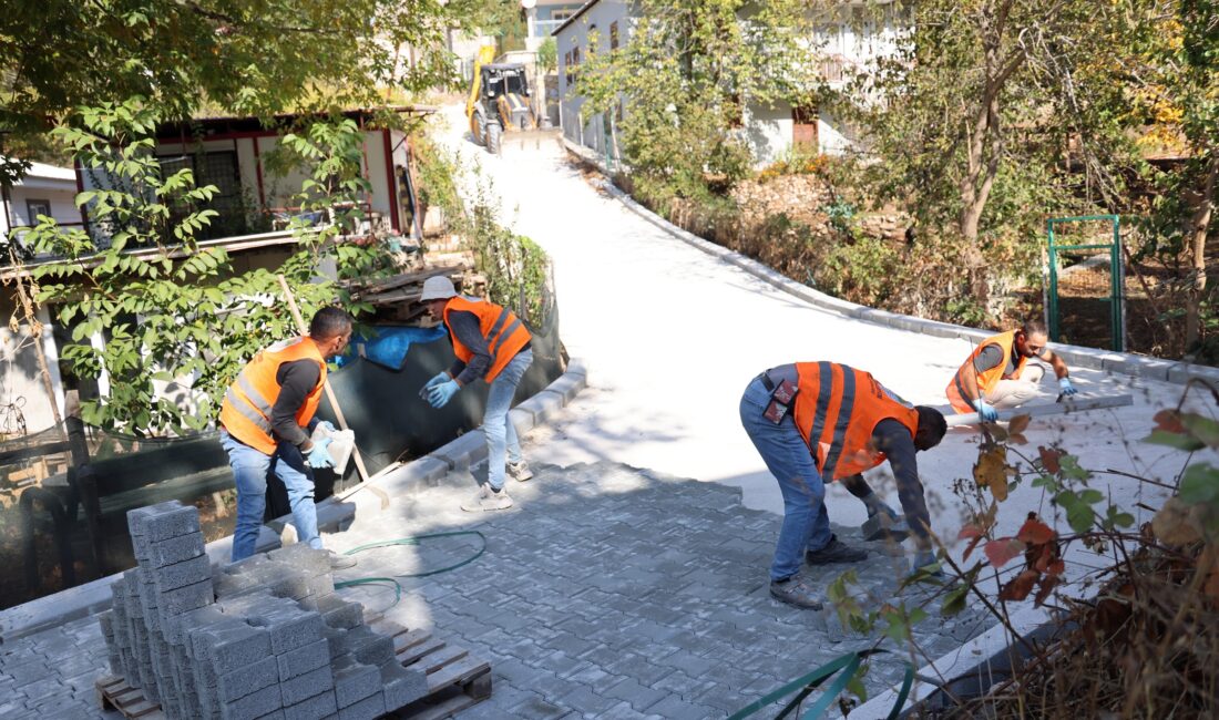 Toroslar Belediyesi, ilçe genelinde