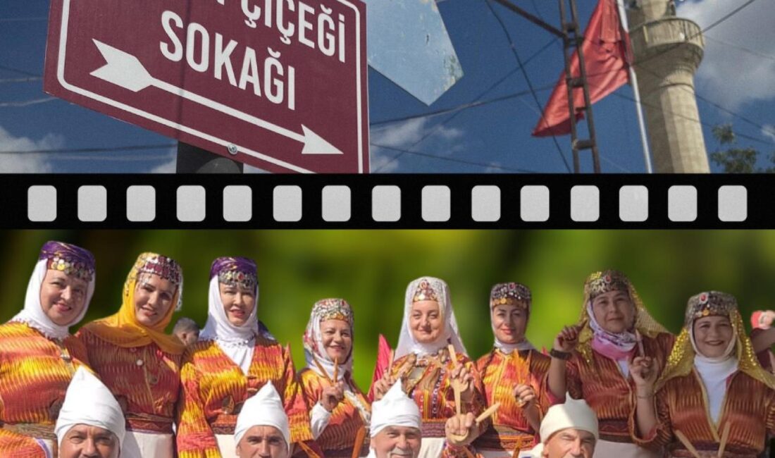 “Limon Çiçekleri Acı Tatlı