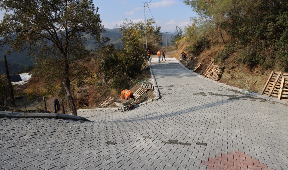 Toroslar Belediyesi, ilçe genelinde