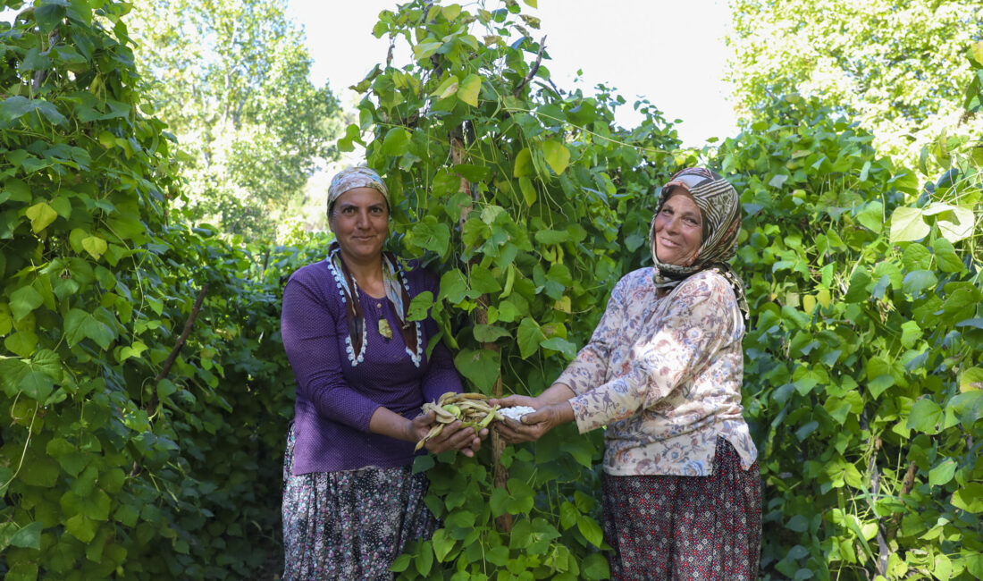 Mersin Büyükşehir Belediyesi, kent