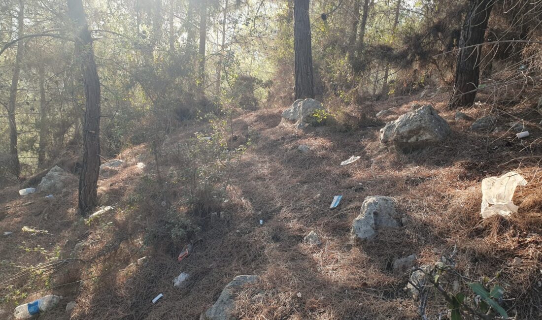 MERSİN MALİ MÜŞAVİRLER ODASI’NDAN ORMAN TEMİZLİĞİ FARKINDALIĞI Mersin Mali Müşavirler Odası,