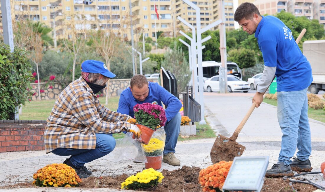 Toroslar Belediyesi, ilçe genelinde