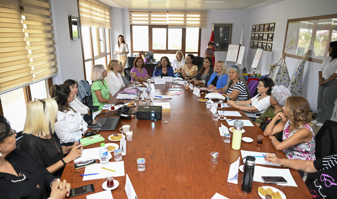 Kadın dernekleri, topluluklar, akademisyenler