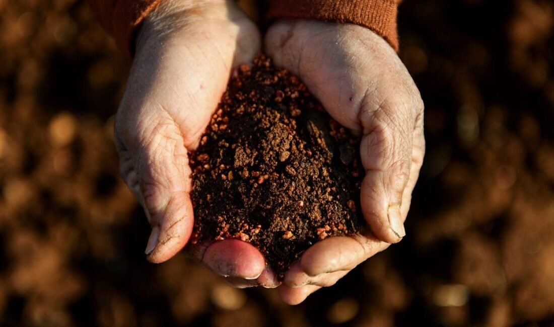 BÜYÜKŞEHİR’İN İKLİM DEĞİŞİKLİĞİ İLE MÜCADELE ÇALIŞMALARI TÜRKİYE’YE ÖRNEK OLMAYA DEVAM EDECEK