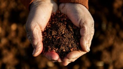 BÜYÜKŞEHİR’İN İKLİM DEĞİŞİKLİĞİ İLE MÜCADELE ÇALIŞMALARI TÜRKİYE’YE ÖRNEK OLMAYA DEVAM EDECEK