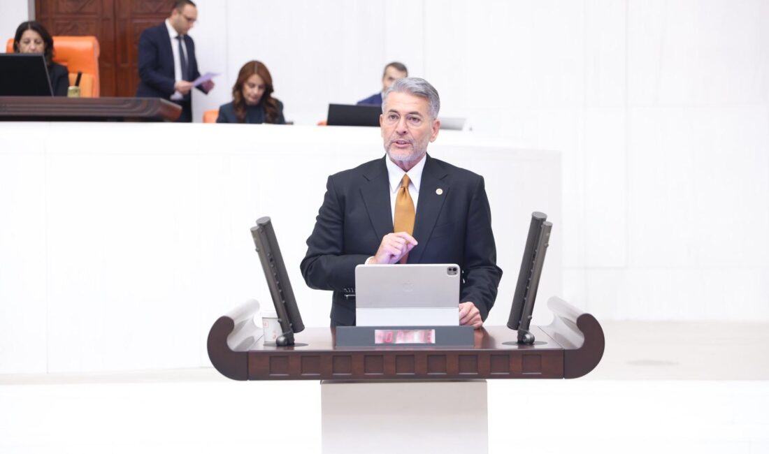 Milliyetçi Hareket Partisi Mersin