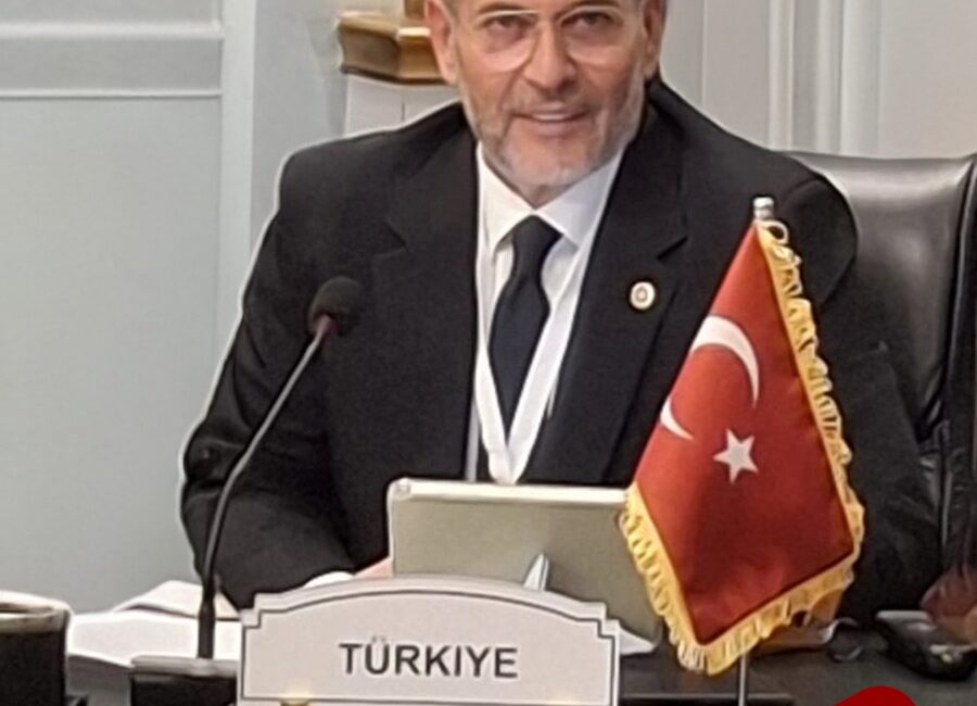 Milliyetçi Hareket Partisi Mersin