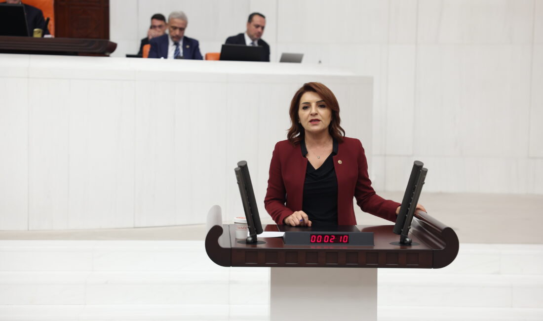 Cumhuriyet Halk Partisi Mersin