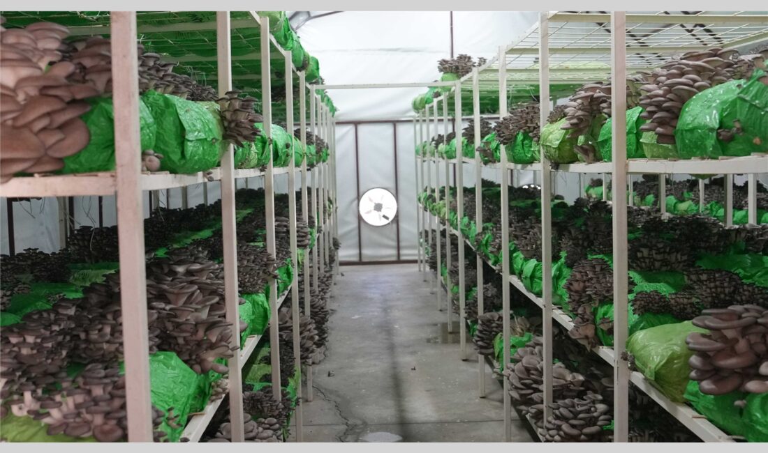 Tarsus Belediyesi ile Halk