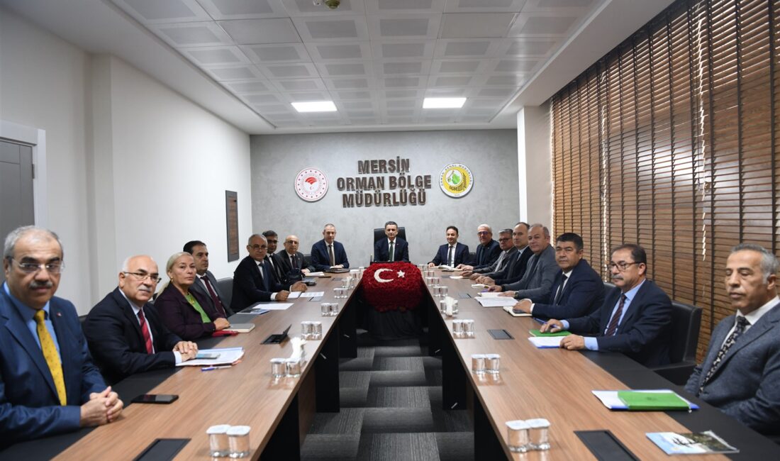 2025 yılı Kasım ayı