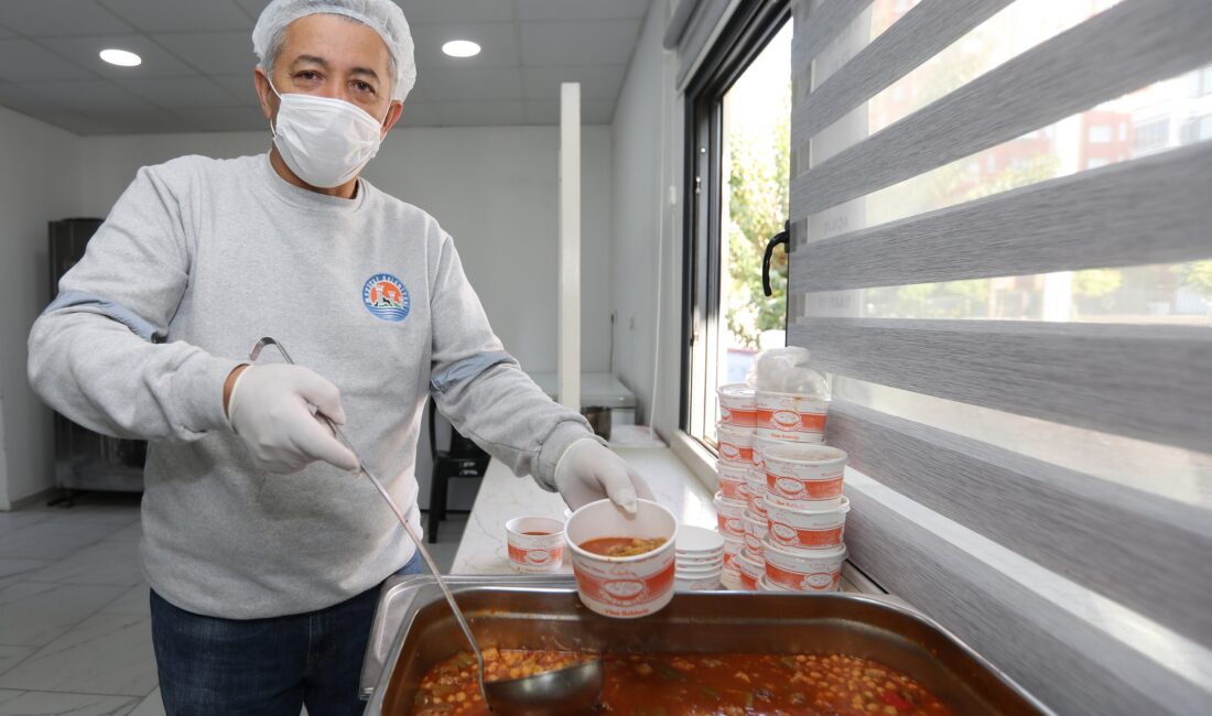 Mezitli Belediyesi, kent genelinde