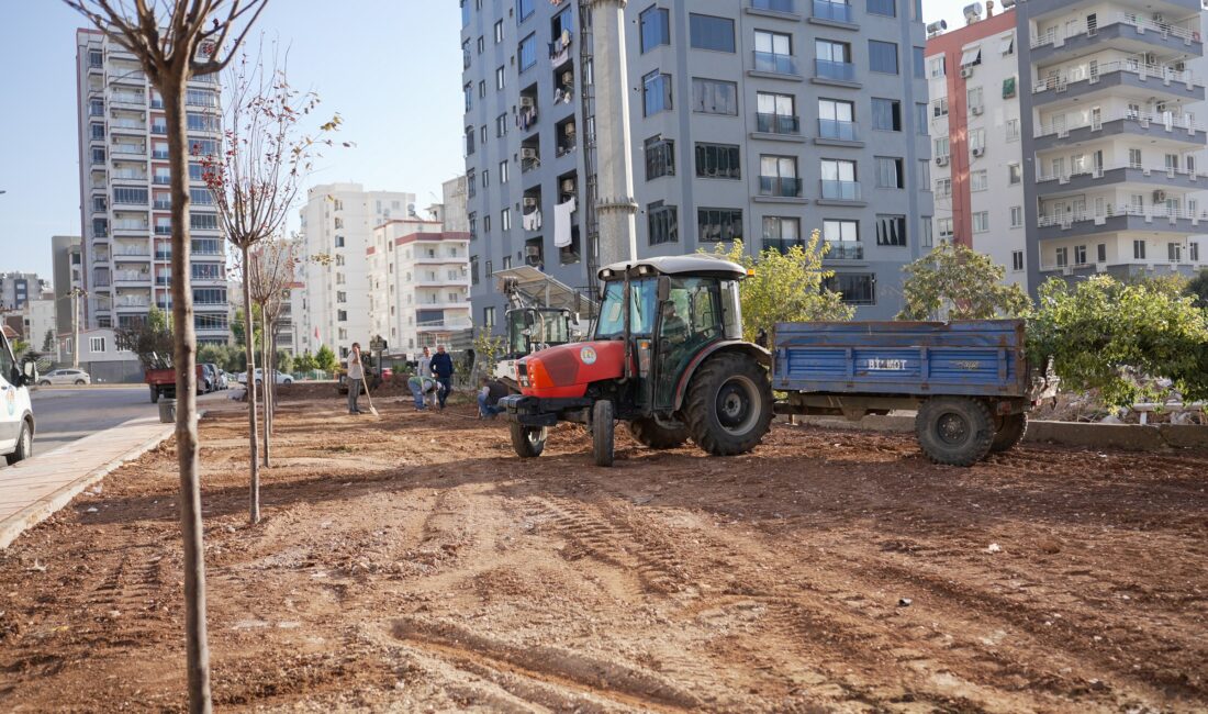 Mezitli Belediyesi, kent genelinde