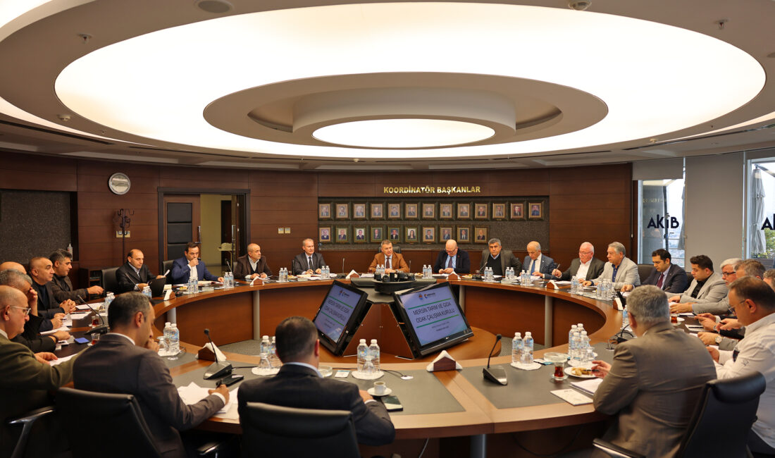 Mersin Ticaret ve Sanayi