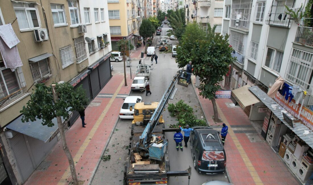 Akdeniz Belediyesi, bir yandan