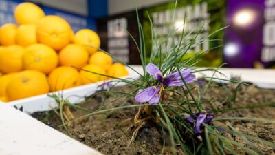 Mersin Tarım Fuarı, Yenişehir Belediyesi