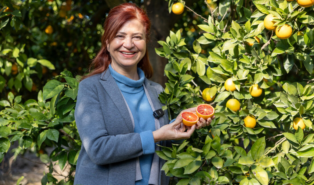 TESCİL MERSİNDEN KADIN KOOPERATİFİ’NDEN; SIRADAKİ HEDEF AVRUPA BİRLİĞİ Mersin’in simge tarım ürünlerinden
