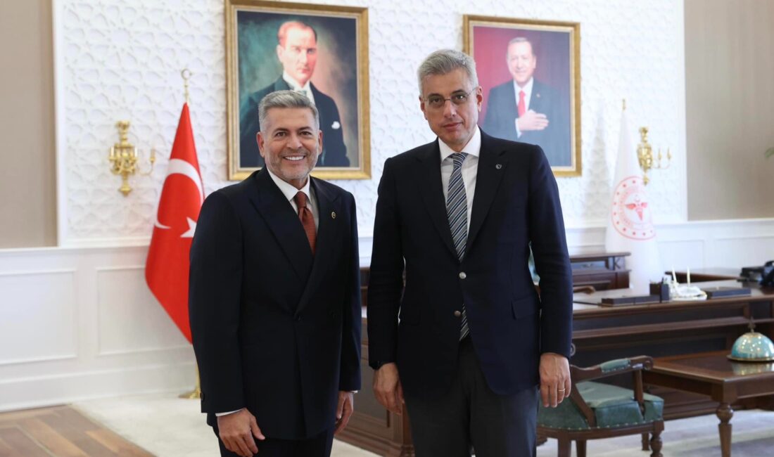 Milliyetçi Hareket Partisi Mersin