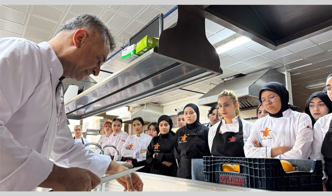 TARSUS BELEDİYESİ İSTİRİDYE MANTARLARINI GENÇ ŞEF ADAYLARIYLA BULUŞTURDU Tarsus Belediyesi bünyesinde yetiştirilen
