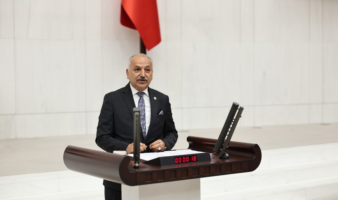 Mersin Milletvekili Talat Dinçer,