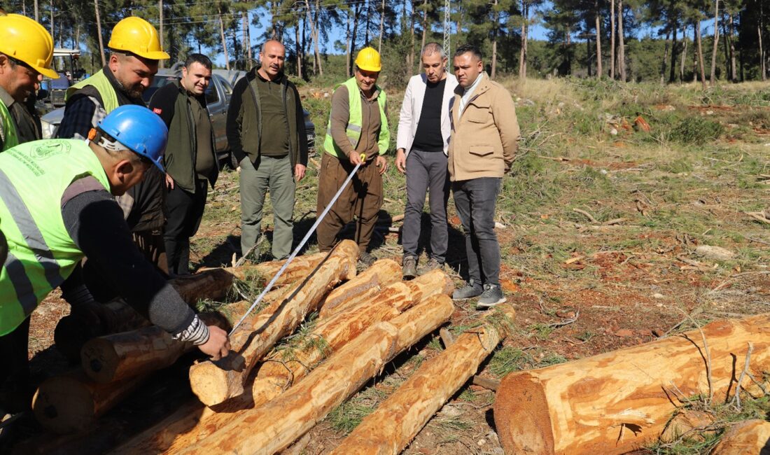 Mersin Orman Bölge Müdür