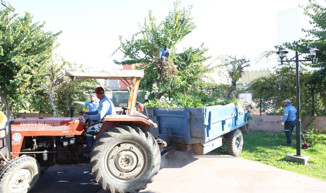 Akdeniz Belediyesi Park ve