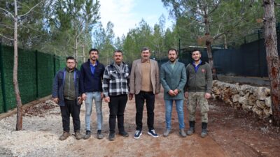 Toroslar Belediyesi, 2024 yılında hükümetin