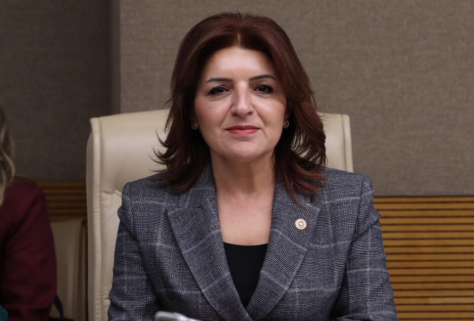 CHP Mersin Milletvekili Gülcan