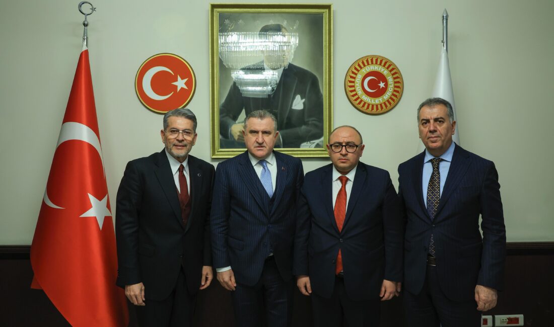 Milliyetçi Hareket Partisi Mersin