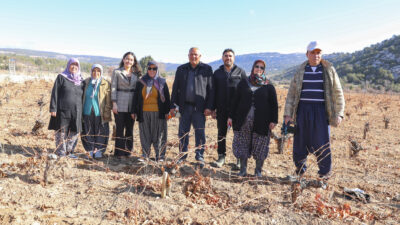 Çevresel kirlilik yaratan ve ekolojik