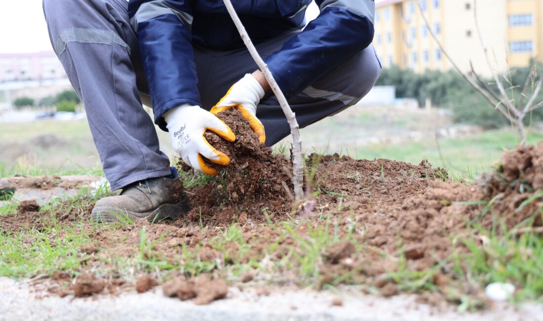Toroslar Belediyesi, ilçenin dört