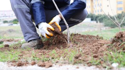 Toroslar Belediyesi, ilçenin dört bir