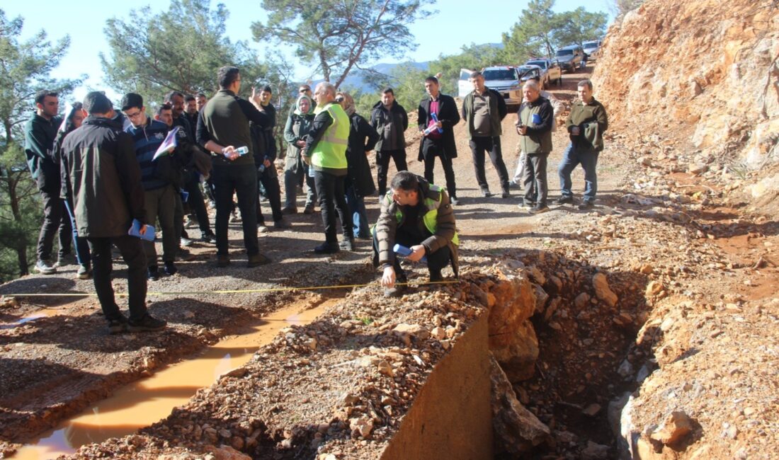 Orman Genel Müdürlüğü İnşaat