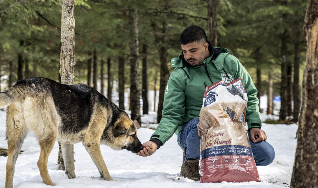 TOROSLAR’IN ETEKLERİNDEKİ CAN DOSTLAR DA BÜYÜKŞEHİR’E EMANET Mersin Büyükşehir Belediyesi Veteriner