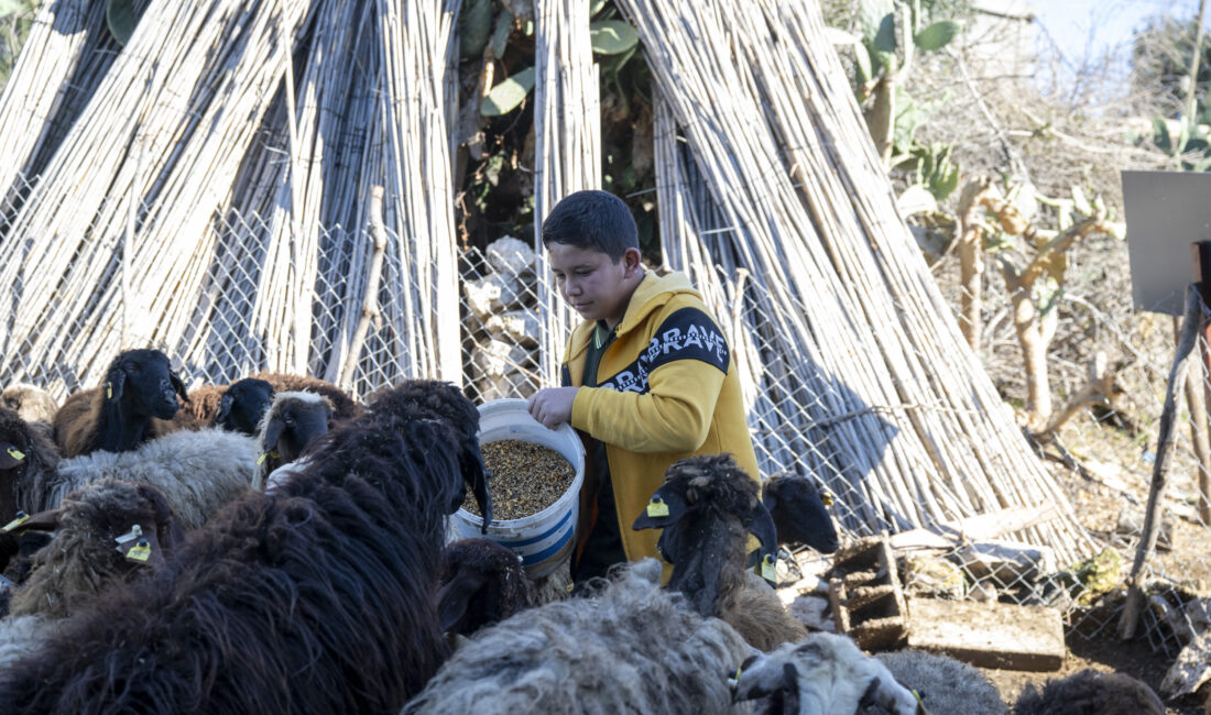 Mersin Büyükşehir Belediyesi; kırsal kalkınmanın
