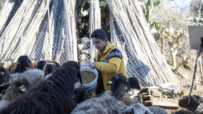 Mersin Büyükşehir Belediyesi; kırsal kalkınmanın