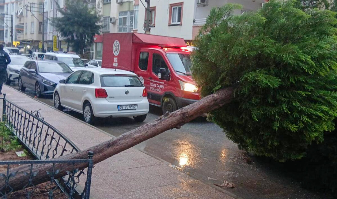 Başkan Özyiğit: “Sahadayız, vatandaşımızın yanındayız!” Başkan Özyiğit: “Sahadayız, vatandaşımızın yanındayız!”