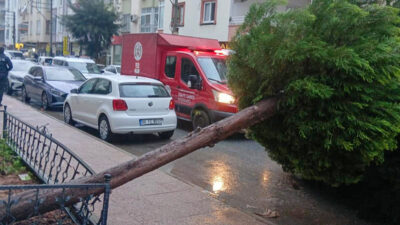Meteoroloji Genel Müdürlüğü ve AFAD’ın